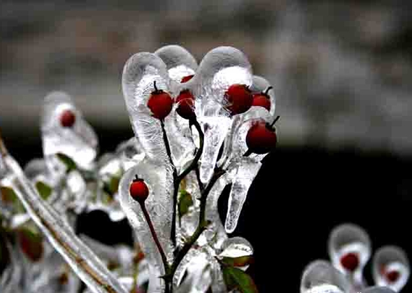 分析近期凈水器行業的發展狀況