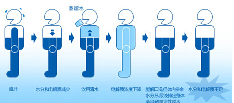 水與人體健康小知識 你的身體缺水嗎？